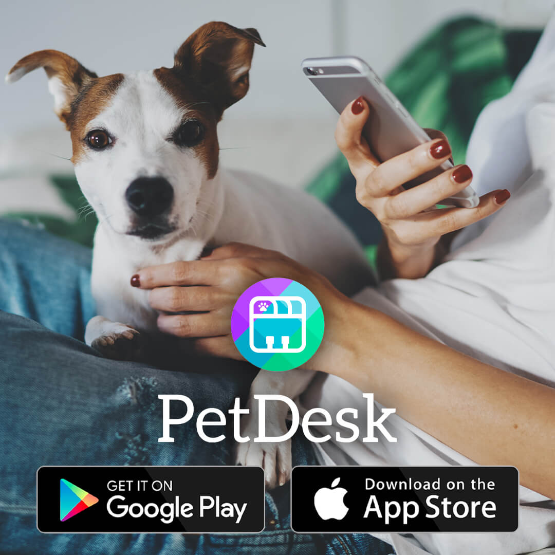 pet-desk-graphic-1to1ratio