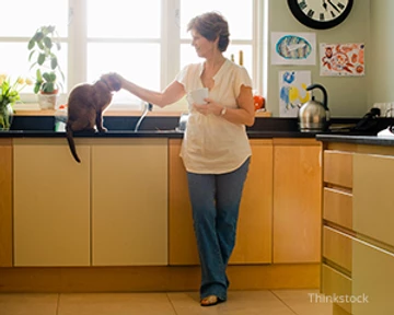 cat in kitchen